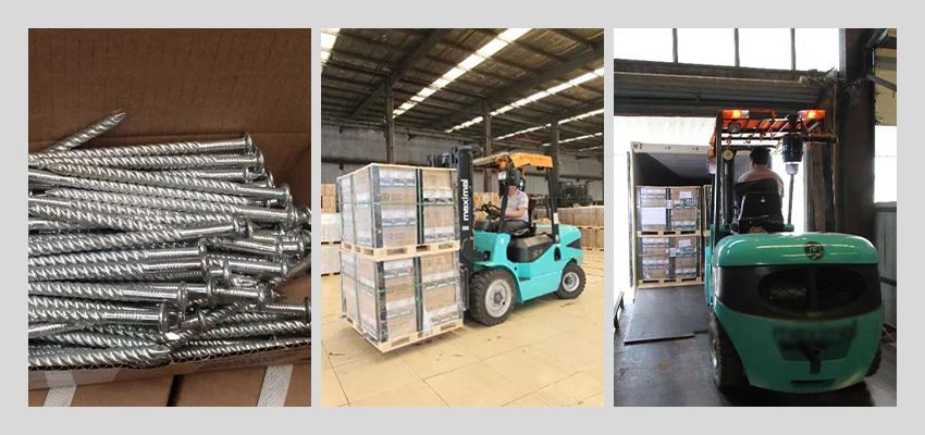annular ring nails loading container annular ring nails loading container