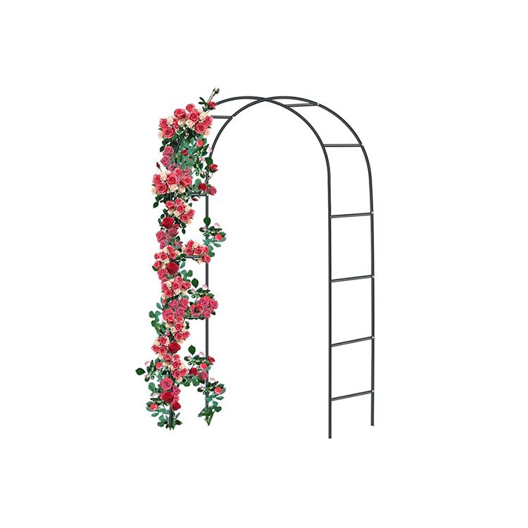 garden arch trellis