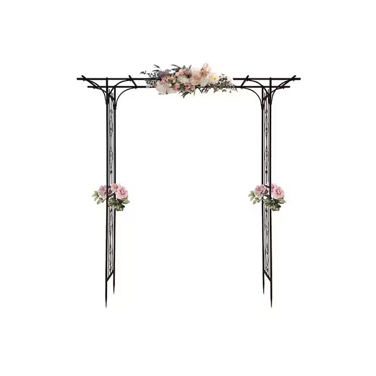 climbing plant arch